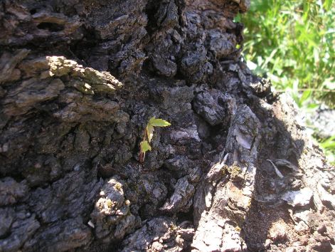 9-p7012346.jpg 9-p7012346.jpg