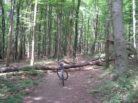 9-p7032379.jpg 9-p7032379.jpg