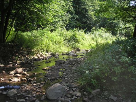 9-p7102453.jpg 9-p7102453.jpg