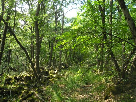 9-p7122483.jpg 9-p7122483.jpg