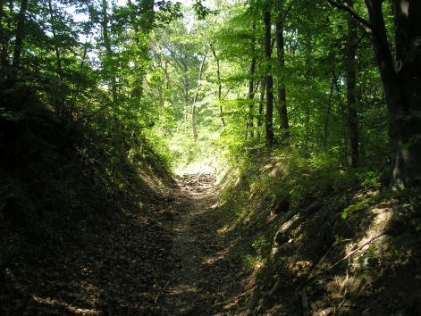 9-p7172493.jpg 9-p7172493.jpg