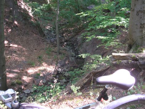 9-p8022632.jpg 9-p8022632.jpg