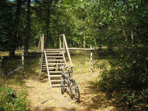 9-p8162690.jpg 9-p8162690.jpg