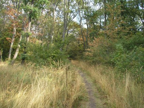 9-p8302763.jpg 9-p8302763.jpg