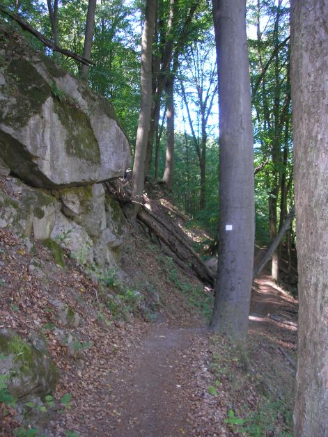 9-p9042812.jpg 9-p9042812.jpg