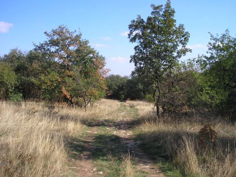 9-p9282990.jpg 9-p9282990.jpg