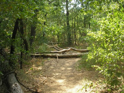 9.kis_akadaly.jpg 9.kis_akadaly.jpg