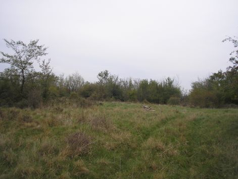 9_erdei-ret.jpg 9_erdei-ret.jpg