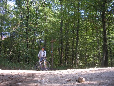 9_mar_csak_760_m.jpg 9_mar_csak_760_m.jpg