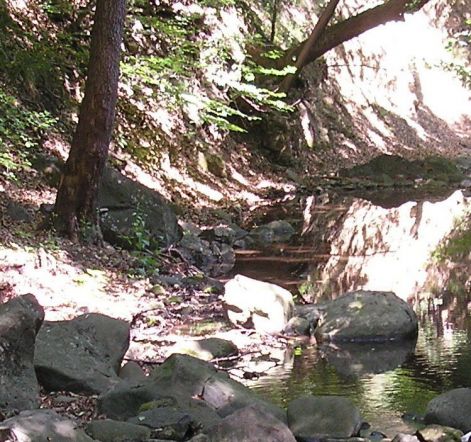 a_patak_szelleme.jpg a_patak_szelleme.jpg