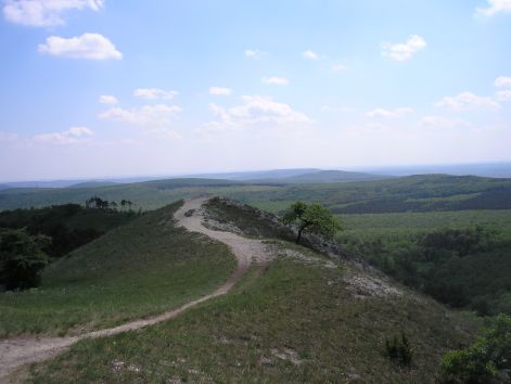 a_pilis.jpg a_pilis.jpg