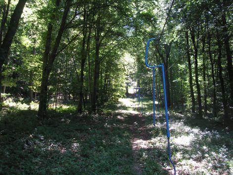 a_sifelvono_nyaron.jpg a_sifelvono_nyaron.jpg