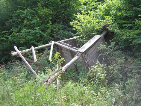 a_vad_nyert.jpg a_vad_nyert.jpg