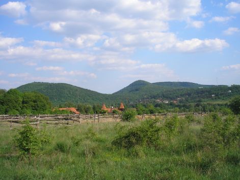 ady-liget_kozeleben.jpg ady-liget_kozeleben.jpg