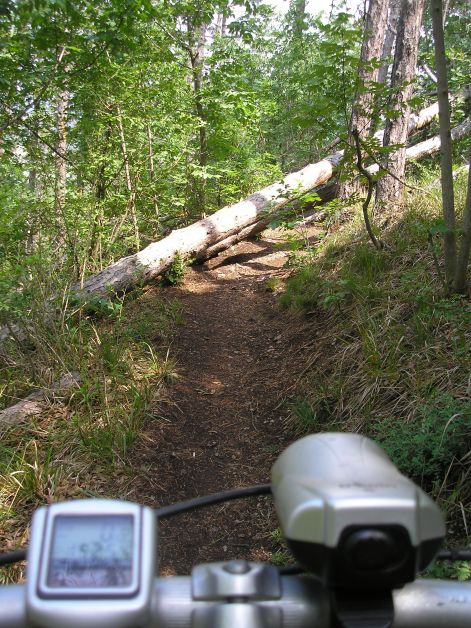 akadaly.jpg akadaly.jpg