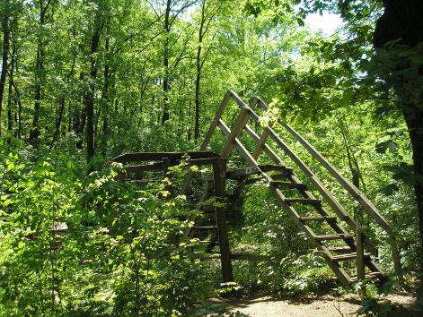 akadalyverseny.jpg akadalyverseny.jpg