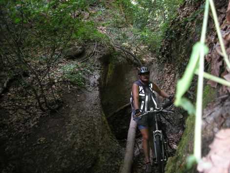 atjutva.jpg atjutva.jpg