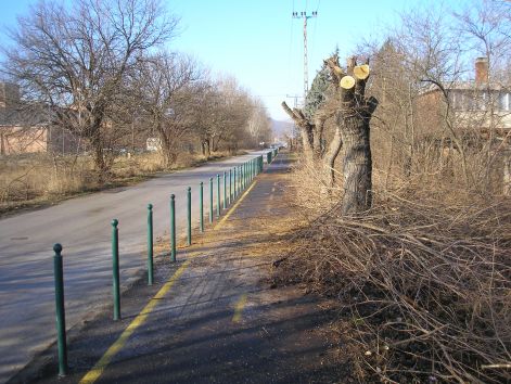 budakalasz_fele_a_gallyzas....jpg budakalasz_fele_a_gallyzas....jpg