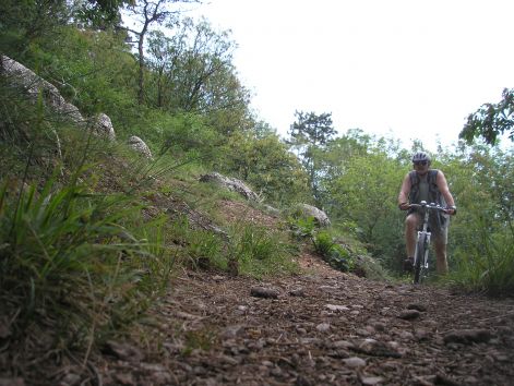 budaorsi_terep.jpg budaorsi_terep.jpg