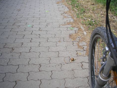 csak_batran_balrol.jpg csak_batran_balrol.jpg