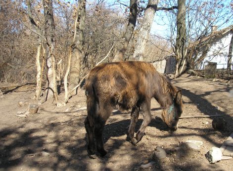 de_hol_van_az_ogre....jpg de_hol_van_az_ogre....jpg