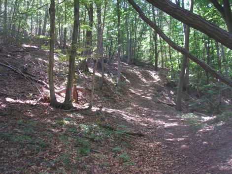 dino_-_feny_es_arnyek_jateka.jpg dino_-_feny_es_arnyek_jateka.jpg