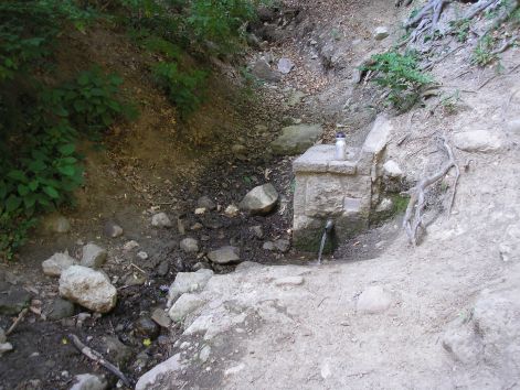 domini_forras.jpg domini_forras.jpg