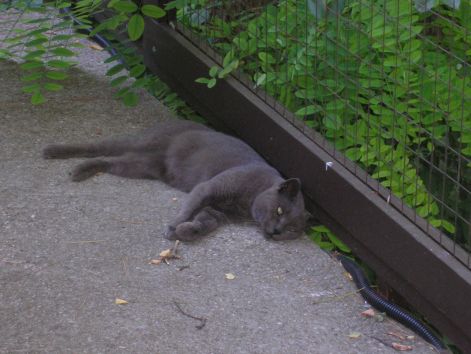 eberseg.jpg eberseg.jpg