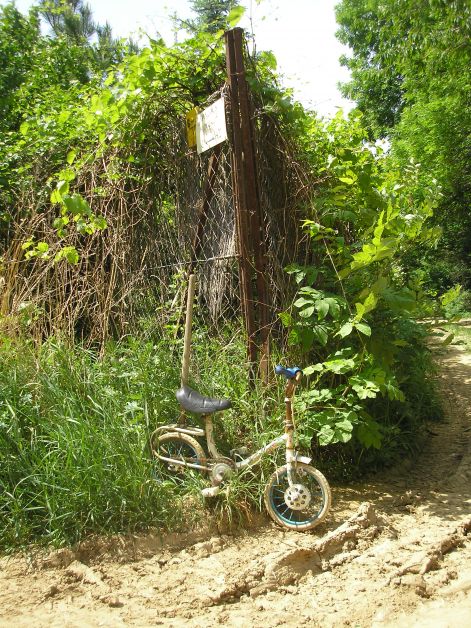 elhagyatva.jpg elhagyatva.jpg