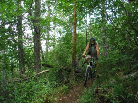 erdoben.jpg erdoben.jpg