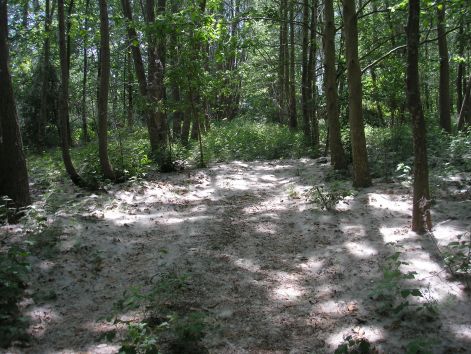 ez_nem_ho_nyarfa_toll.jpg ez_nem_ho_nyarfa_toll.jpg