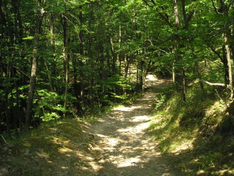 gurulas_az_ismeretlen_fele.jpg gurulas_az_ismeretlen_fele.jpg