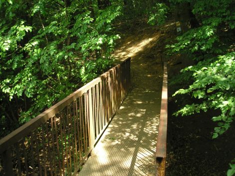 hid_solymarnal.jpg hid_solymarnal.jpg