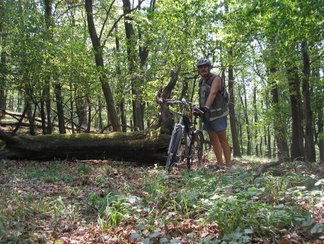 itt_tolni_kell.jpg itt_tolni_kell.jpg