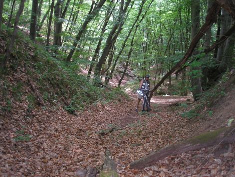 jeloletlen_merdeken.jpg jeloletlen_merdeken.jpg