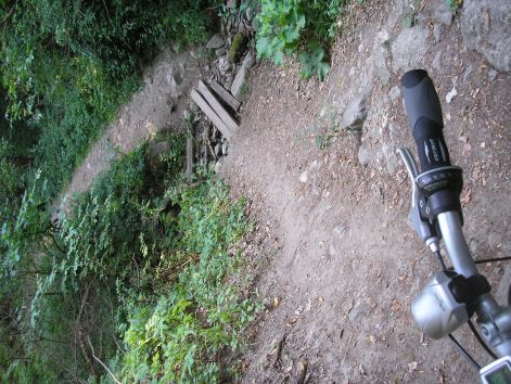 jo_terep.jpg jo_terep.jpg