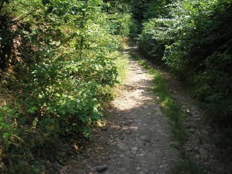 kaptaton.jpg kaptaton.jpg