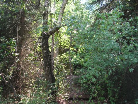 kapu_orseg.jpg kapu_orseg.jpg