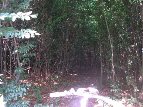 kek_kereszten_be.jpg kek_kereszten_be.jpg