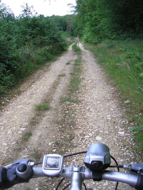 kellemes_terep.jpg kellemes_terep.jpg