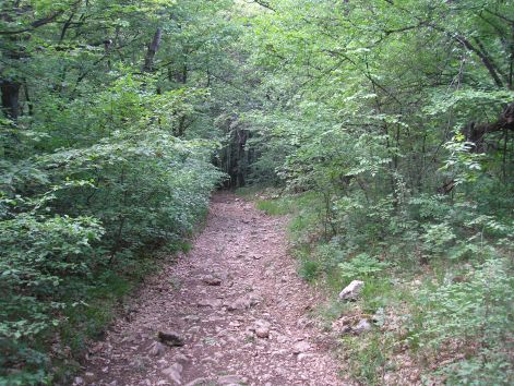 kevesse_kellemes.jpg kevesse_kellemes.jpg