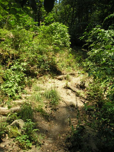 kezdodik.jpg kezdodik.jpg