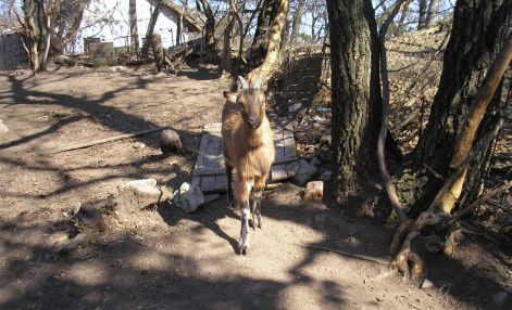 ki_lehet_ez....jpg ki_lehet_ez....jpg