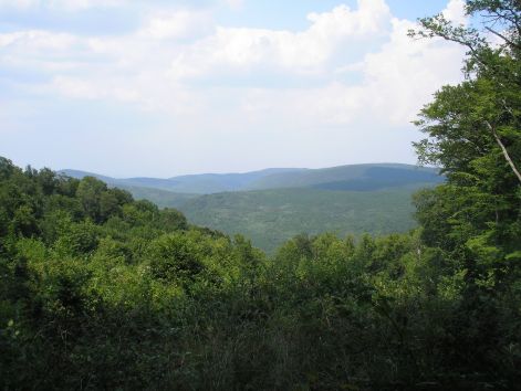 kilatas.jpg kilatas.jpg