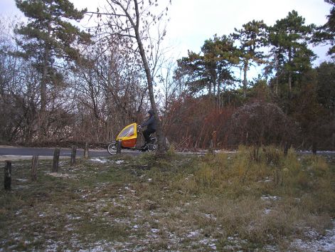 kiscsalados.jpg kiscsalados.jpg