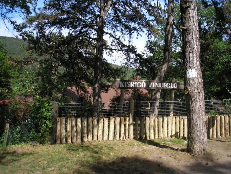 kisrigo.jpg kisrigo.jpg