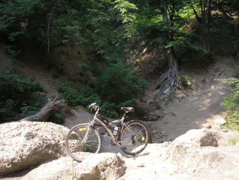 konnyu_terep.jpg konnyu_terep.jpg