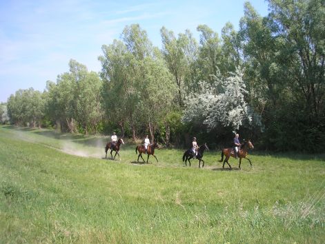 lovasok_a_szentendrei_szigeten.jpg lovasok_a_szentendrei_szigeten.jpg