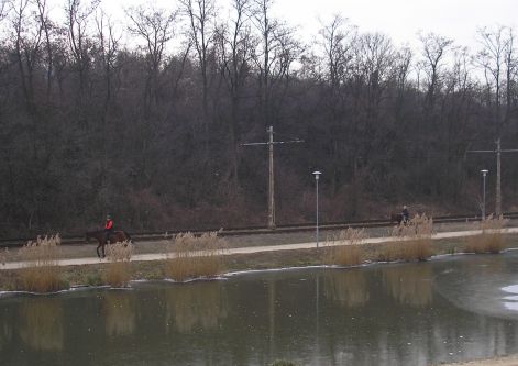 lovasok_a_toerbereknel.jpg lovasok_a_toerbereknel.jpg