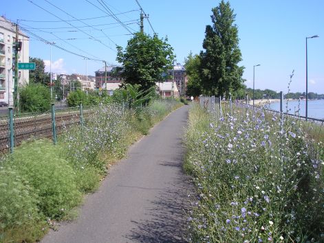 mar_az_ut_elejen_a_termeszetben.jpg mar_az_ut_elejen_a_termeszetben.jpg